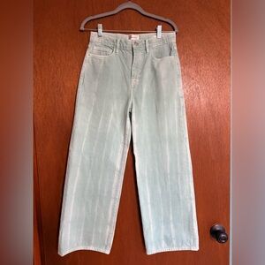 Frame Denim Le Jane Wide Leg Crop in Light Mint